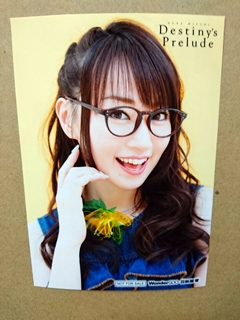 ƲWonderGOO