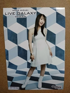 ƲWonderGOO