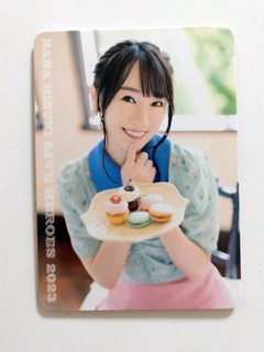 NANA MIZUKI LIVE HEROES 2023